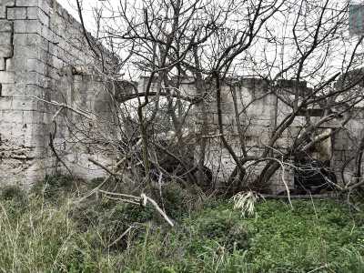 Approdiamo sul retro e ci ritroviamo in un piccolo giardino decadente invaso da un groviglio di rami secchi, un tempo forse un cortile o un agrumeto